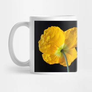 Lovely Yellow Iceland Poppy Mug